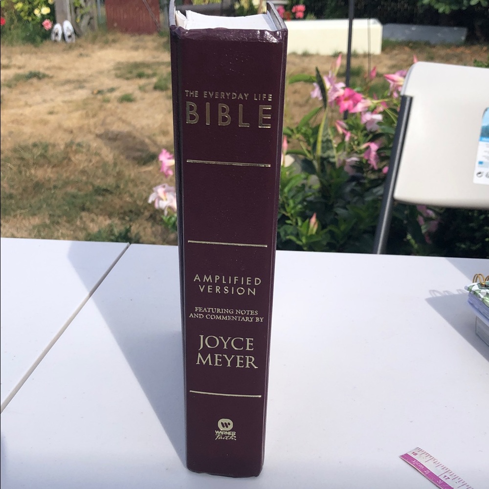 The Everyday Life Bible - Amplified Version (Burgundy)